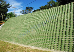 Geocell to bear the load of dike or retaining wall